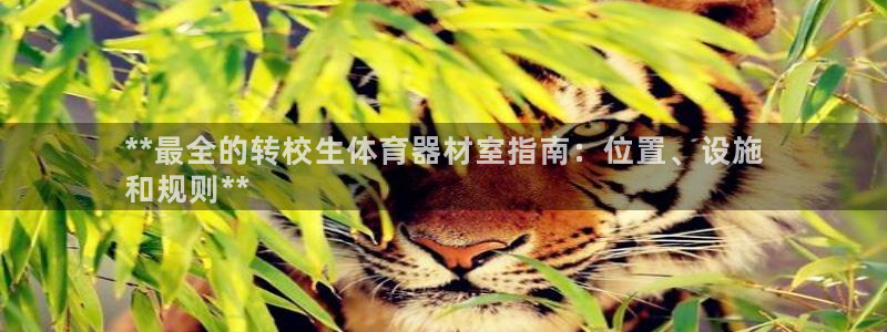 极悦平台官方网址是多少：**最全的转校生体育器材室指