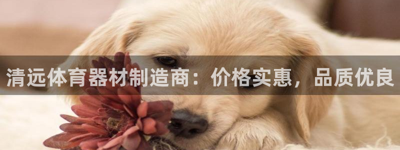 极悦平台用户评价在哪里看：清远体育器材制造商：价格实