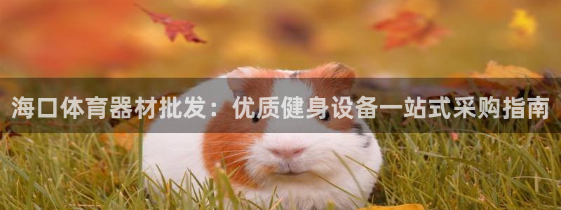极悦娱乐管理最建议买吗：海口体育器材批发：优质健身设