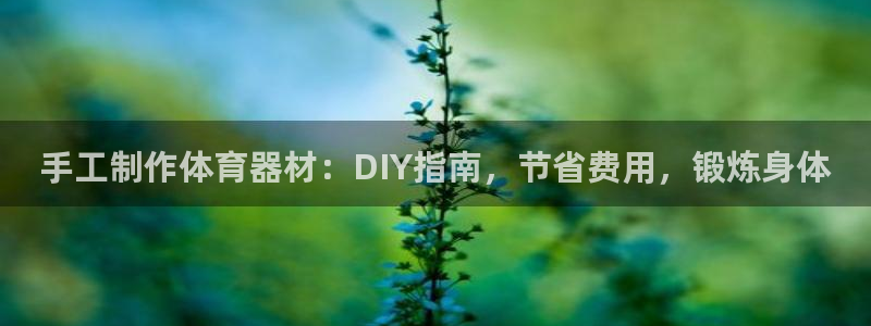极悦平台和蓝狮平台区别：手工制作体育器材：DIY指南