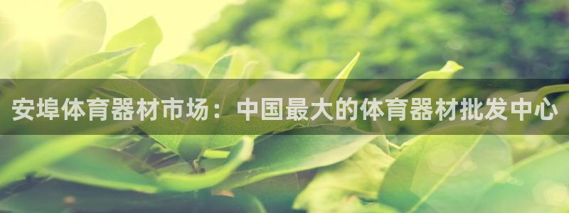 极悦平台的注册流程及注意事项有哪些：安埠体育器材市场