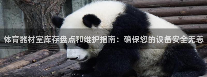 极悦平台客服团队介绍：体育器材室库存盘点和维护指南：