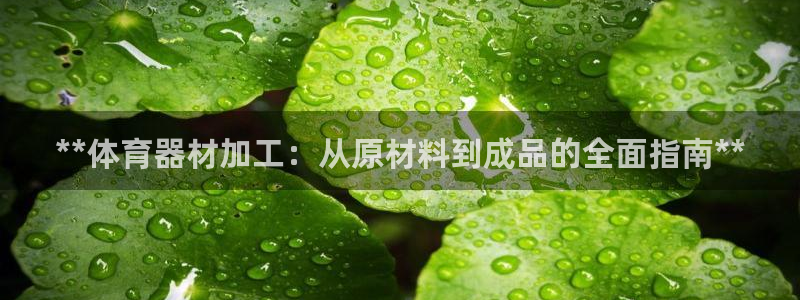 极悦平台股东有哪些：**体育器材加工：从原材料到成品