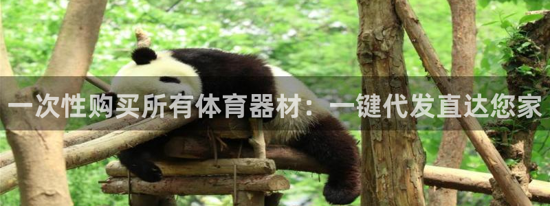 极悦平台股东名单：一次性购买所有体育器材：一键代发直