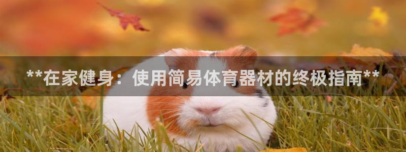 极悦官网：**在家健身：使用简易体育器材的终极指南*
