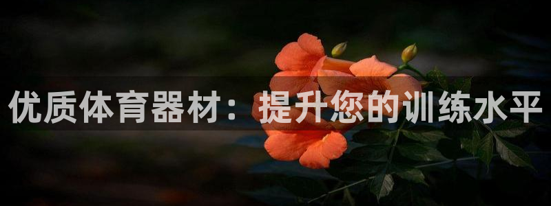 极悦娱乐股东结构：优质体育器材：提升您的训练水平