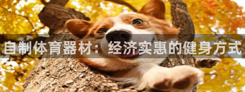 极悦娱乐代理人是谁呀：自制体育器材：经济实惠的健身方