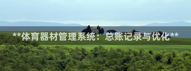 极悦牙膏好吗：**体育器材管理系统：总账记录与优化*