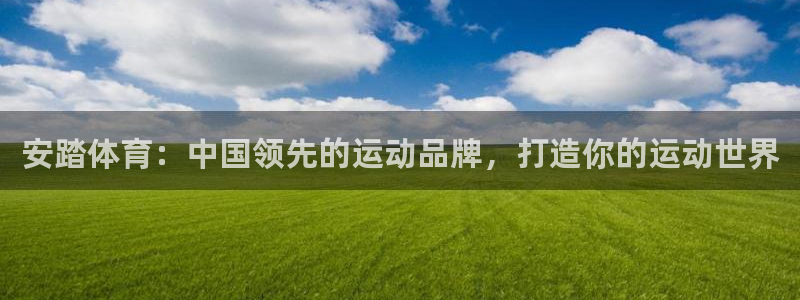 极悦平台是干什么的公司：安踏体育：中国领先的运动品牌