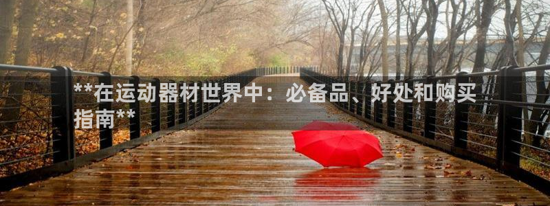 极悦平台代理怎么样啊：**在运动器材世界中：必备品、