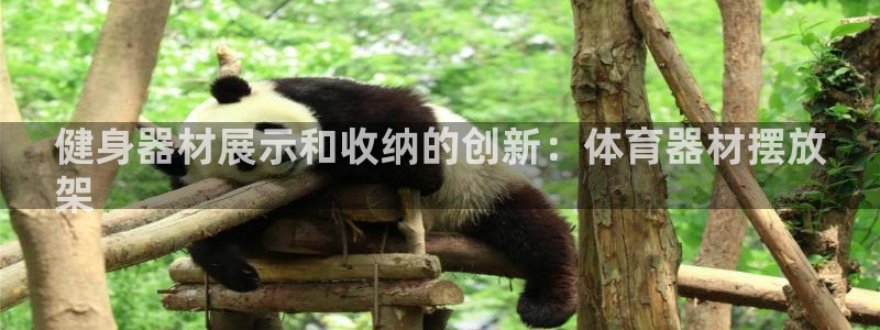 极悦平台的注册流程及注意事项有哪些：健身器材展示和收