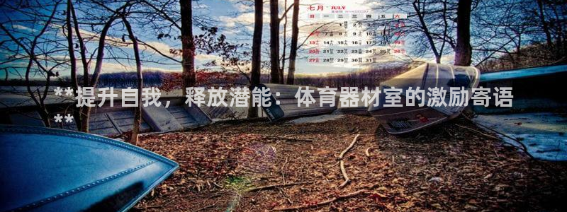 极悦平台股东是谁：**提升自我，释放潜能：体育器材室
