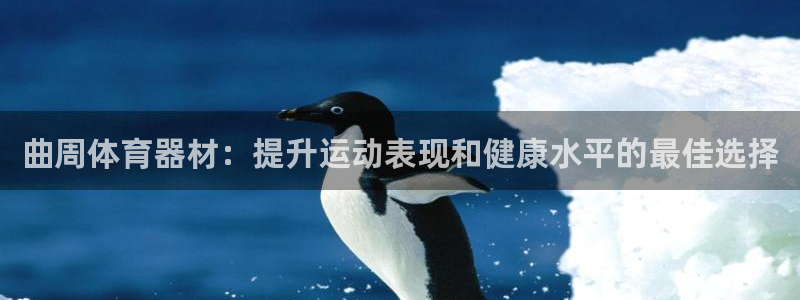 极悦娱乐游戏中心：曲周体育器材：提升运动表现和健康水