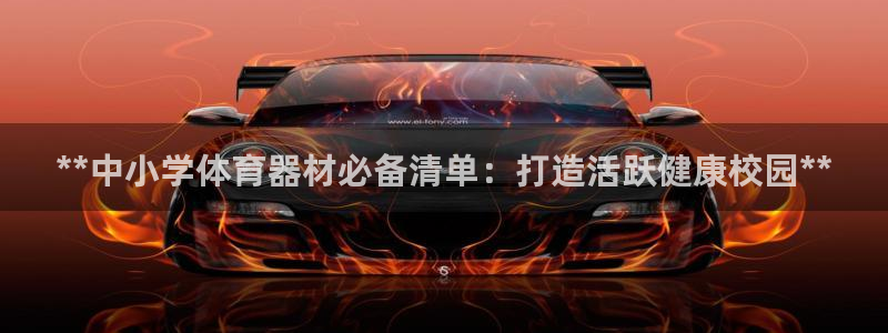 极悦平台用户反馈和反馈一样吗：**中小学体育器材必备