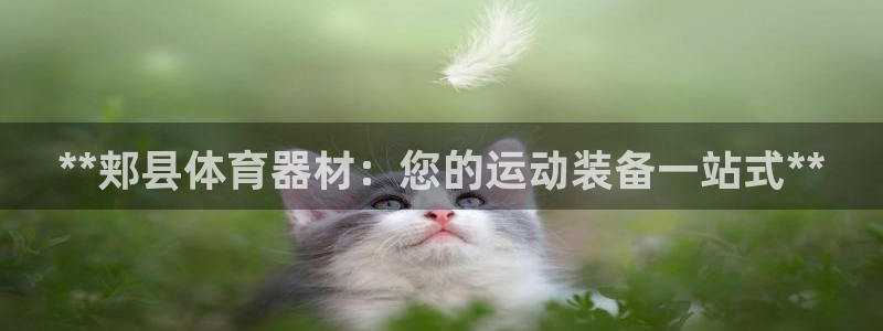 极悦平台官网登录入口：**郏县体育器材：您的运动装备