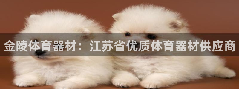 极悦娱乐的最新版本更新内容是什么：金陵体育器材：江苏