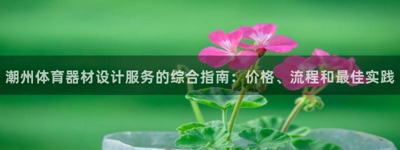 极悦娱乐管理最建议买吗：潮州体育器材设计服务的综合指