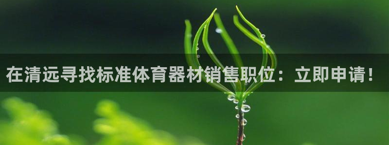 极悦牙膏怎么样好用吗：在清远寻找标准体育器材销售职位