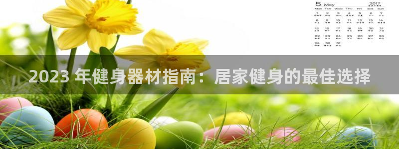 极悦娱乐的创始人背景故事：2023 年健身器材指南：
