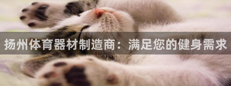 极悦平台用户反馈和反馈的区别：扬州体育器材制造商：满