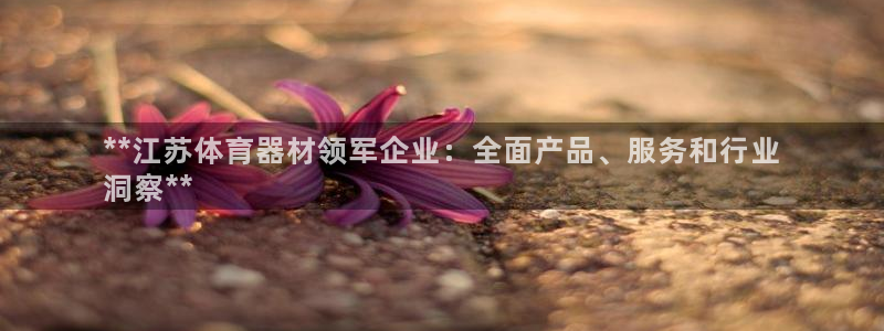极悦平台注册用户名生成器：**江苏体育器材领军企业：
