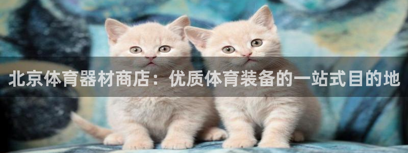 极悦平台城7O777：北京体育器材商店：优质体育装备