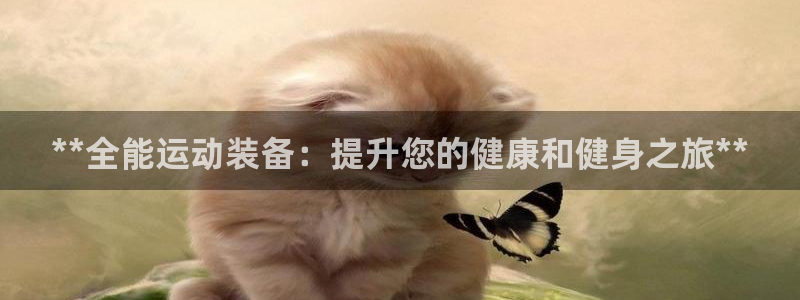 极悦平台是干什么的公司：**全能运动装备：提升您的健