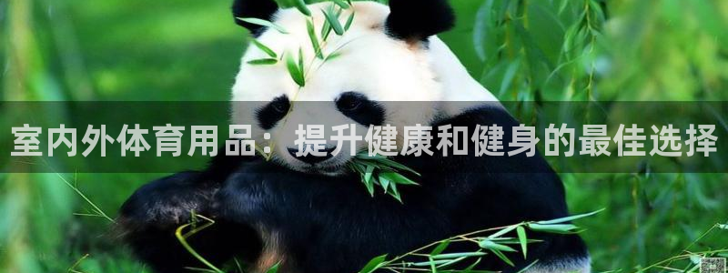 极悦平台官网登录网址是什么：室内外体育用品：提升健康