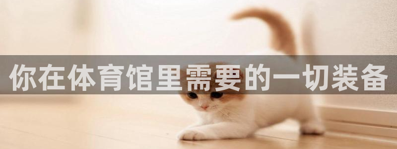 极悦娱乐的背景和历史背景分析：你在体育馆里需要的一切