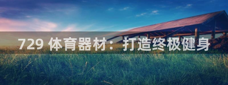 极悦平台代理怎么做的：729 体育器材：打造终极健身
