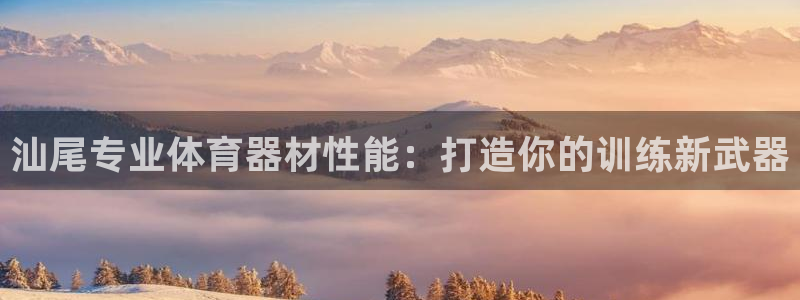 极悦娱乐贴吧百度：汕尾专业体育器材性能：打造你的训练