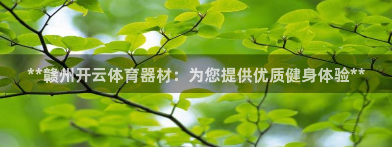 极悦平台和蓝狮平台区别大吗：**赣州开云体育器材：为