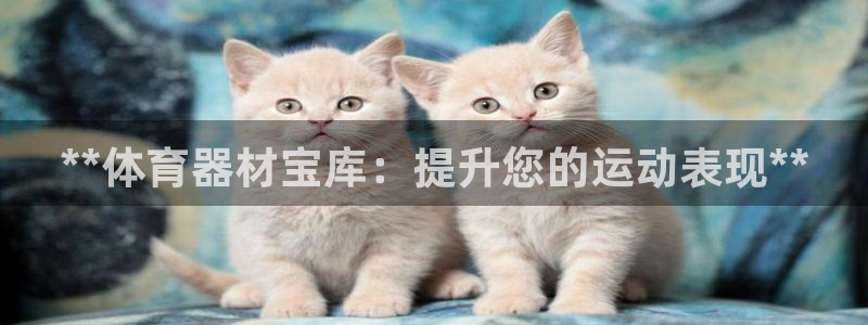 极悦平台官方网站登录：**体育器材宝库：提升您的运动