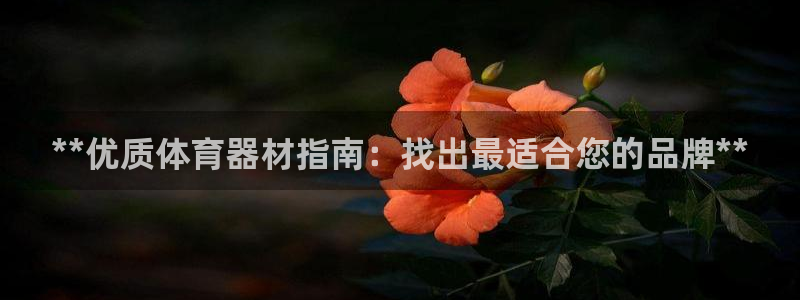 极悦平台登录7.0.2.4手机版下载安卓：**优质体育器材指