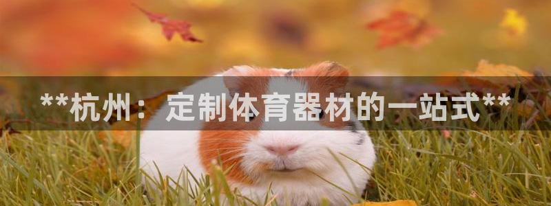 极悦平台注册用户名验证码是什么：**杭州：定制体育器
