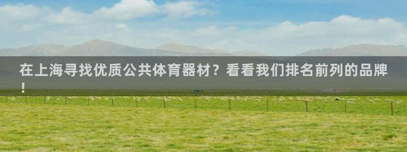 极悦平台登录入口注册账号：在上海寻找优质公共体育器材