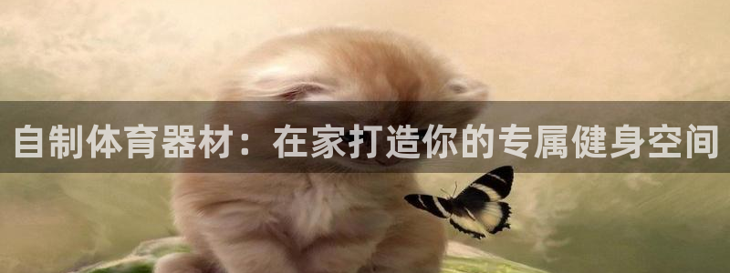 极悦平台官网登录入口网址是多少：自制体育器材：在家打
