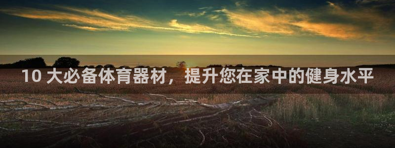 极悦娱乐百科百度：10 大必备体育器材，提升您在家中的健身水