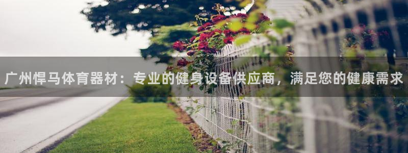 极悦娱乐官网入口网站：广州悍马体育器材：专业的健身设