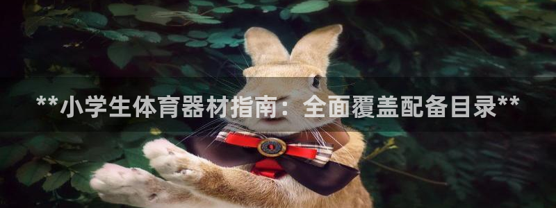 极悦平台平台登录入口：**小学生体育器材指南：全面覆