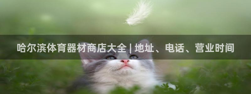 极悦官网首页：哈尔滨体育器材商店大全 | 地址、电话