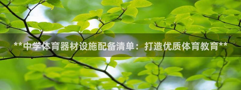 极悦娱乐代理怎么样可靠吗：**中学体育器材设施配备清