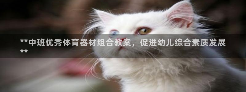 极悦牙膏怎么样好用吗：**中班优秀体育器材组合教案，