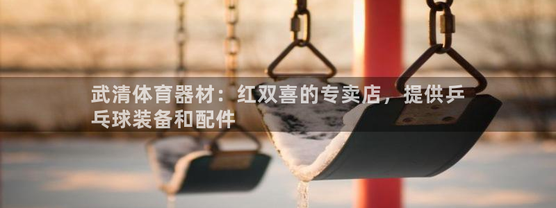 极悦娱乐官网入口：武清体育器材：红双喜的专卖店，提供