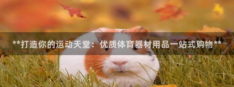 极悦娱乐股东名单：**打造你的运动天堂：优质体育器材