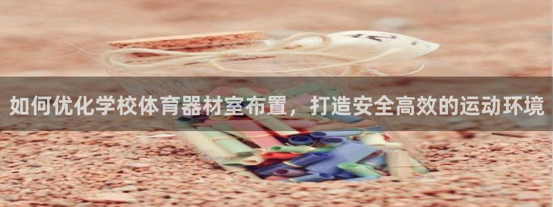 极悦平台注册官方网站下载安装：如何优化学校体育器材室
