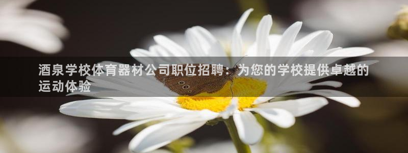 极悦平台注册用户名验证码是什么：酒泉学校体育器材公司