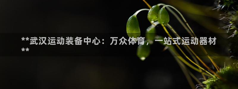 极悦平台注册失败如何解决方法：**武汉运动装备中心：
