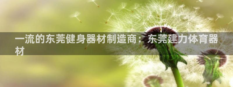 极悦平台是什么：一流的东莞健身器材制造商：东莞建力体