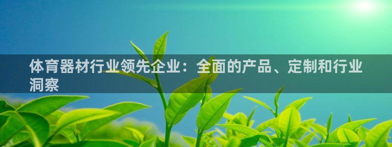 极悦平台注册官方网站下载安装：体育器材行业领先企业：